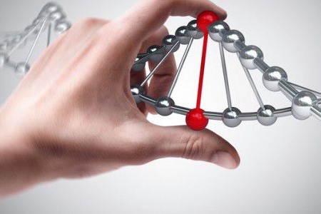 Новая услуга ДНК тест в клинике «Эпиона Медикус»